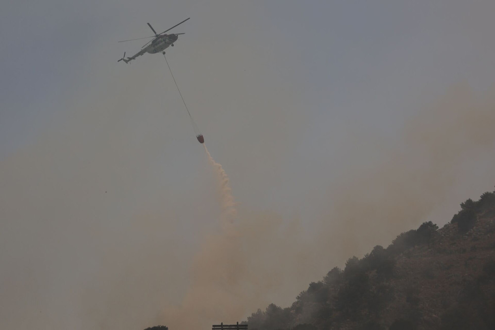 Φωτιά στα Αργυραίικα Πηλίου - Μάχη για να τεθεί υπό έλεγχο