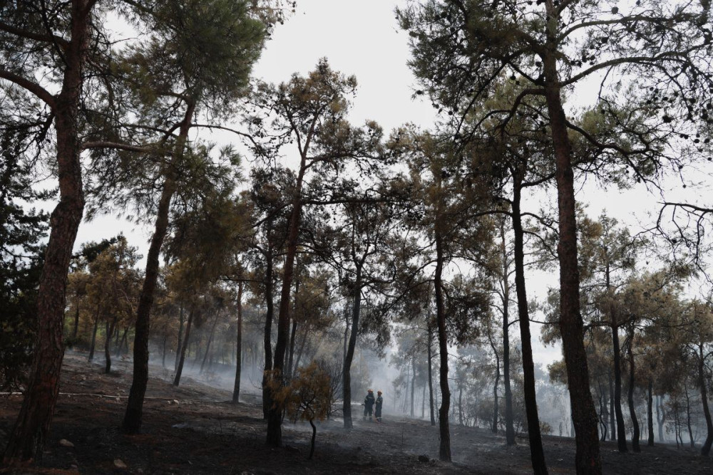 Θεσσαλονίκη: Παράταση της απαγόρευσης κυκλοφορίας στο Σέιχ Σου λόγω του υψηλού κινδύνου πυρκαγιάς