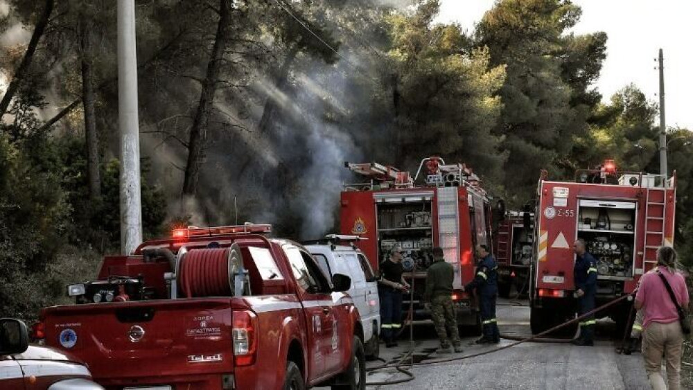 Χαλκιδική: Υπό έλεγχο η πυρκαγιά στη Μόλα Καλύβα