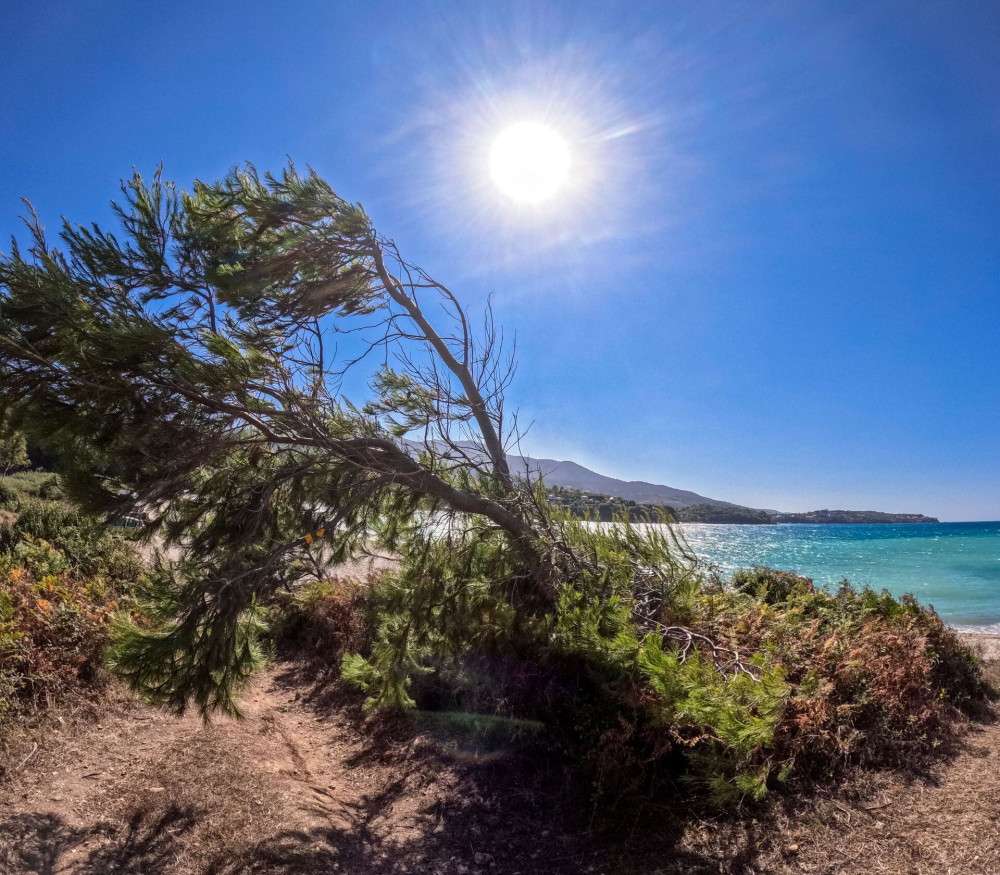 Meteo: ο θερμότερος Νοέμβριος των τελευταίων 15 ετών - Πανευρωπαϊκό ρεκόρ στην Κρήτη με 35,1 βαθμούς