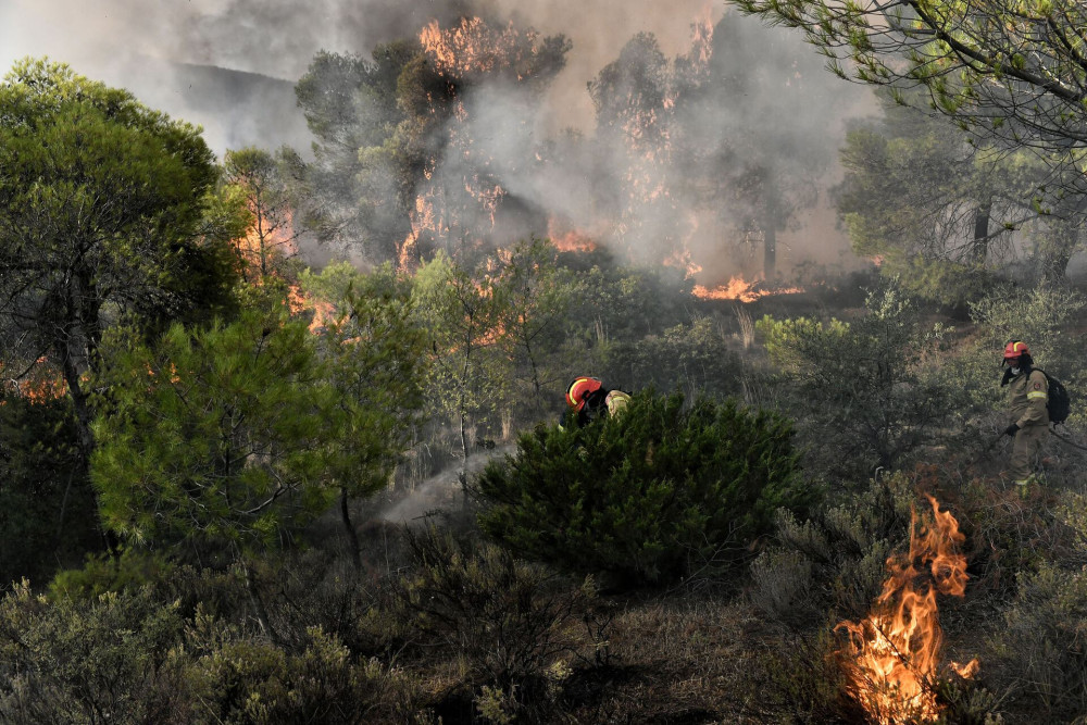 Υπό μερικό έλεγχο η φωτιά στη Νέα Μάκρη