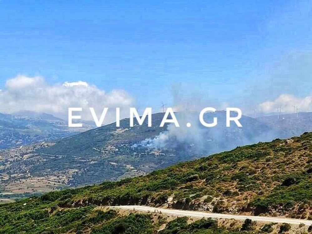 Φωτιά Κάρυστος: Και καναντέρ στη μάχη – Πρόβλημα οι ισχυροί άνεμοι