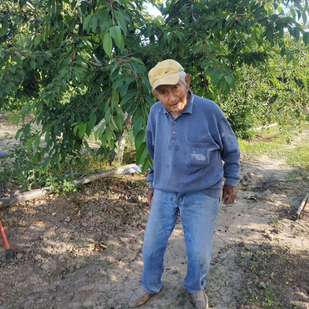Επίμονος αγρότης ετών 88! Με… πυξίδα την καινοτομία «οργώνει» τα χωράφια για επτά δεκαετίες