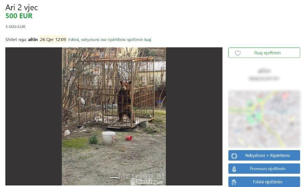 “Αγρίεψε” το παράνομο διαδικτυακό εμπόριο ζώων στην Αλβανία