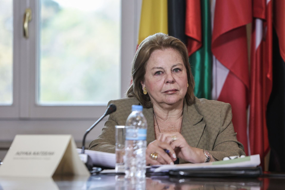 Η Νέα Αριστερά εξέθεσε τη Λούκα Κατσέλη και συνέπλευσε με την… Πλεύση της Ζωής