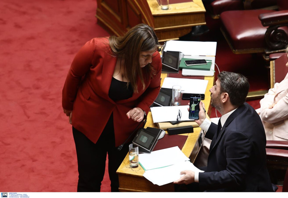 Ο Ανδρουλάκης δεν πείθει ούτε τη Ζωή