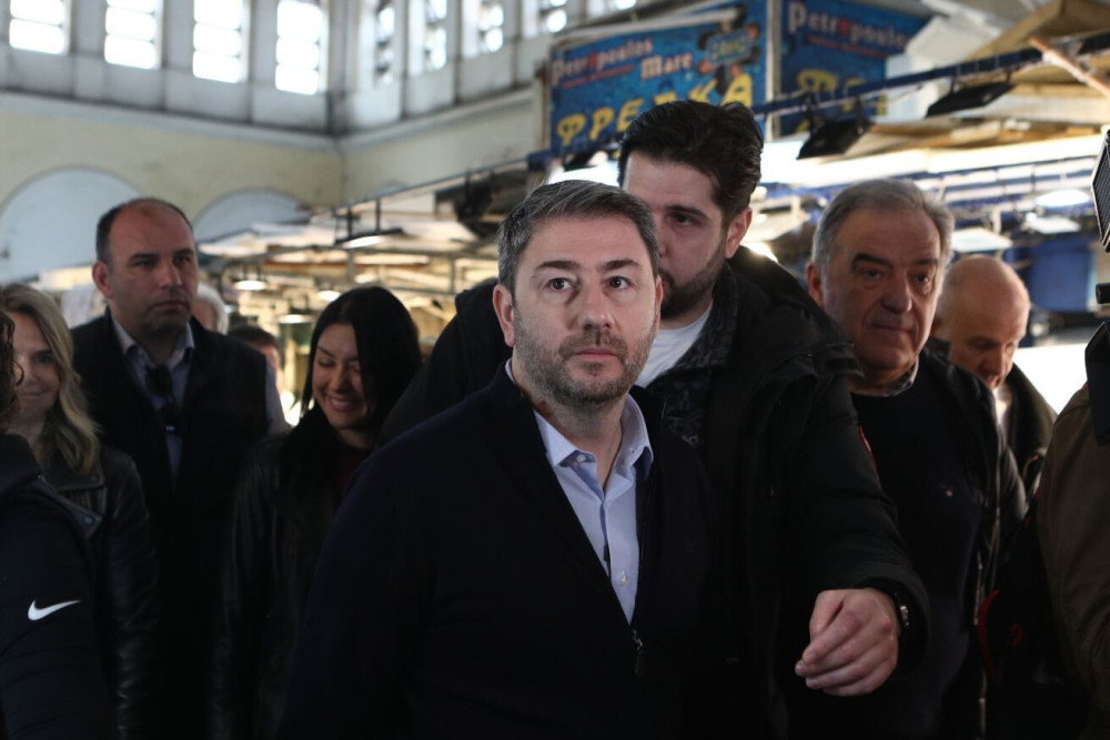 Ο Ανδρουλάκης και η κατάντια του ΠΑΣΟΚ