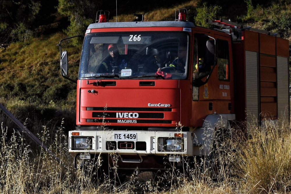 Μεγάλη πυρκαγιά και στην Ηλεία – Σε ετοιμότητα κάτοικοι χωριού (vids)