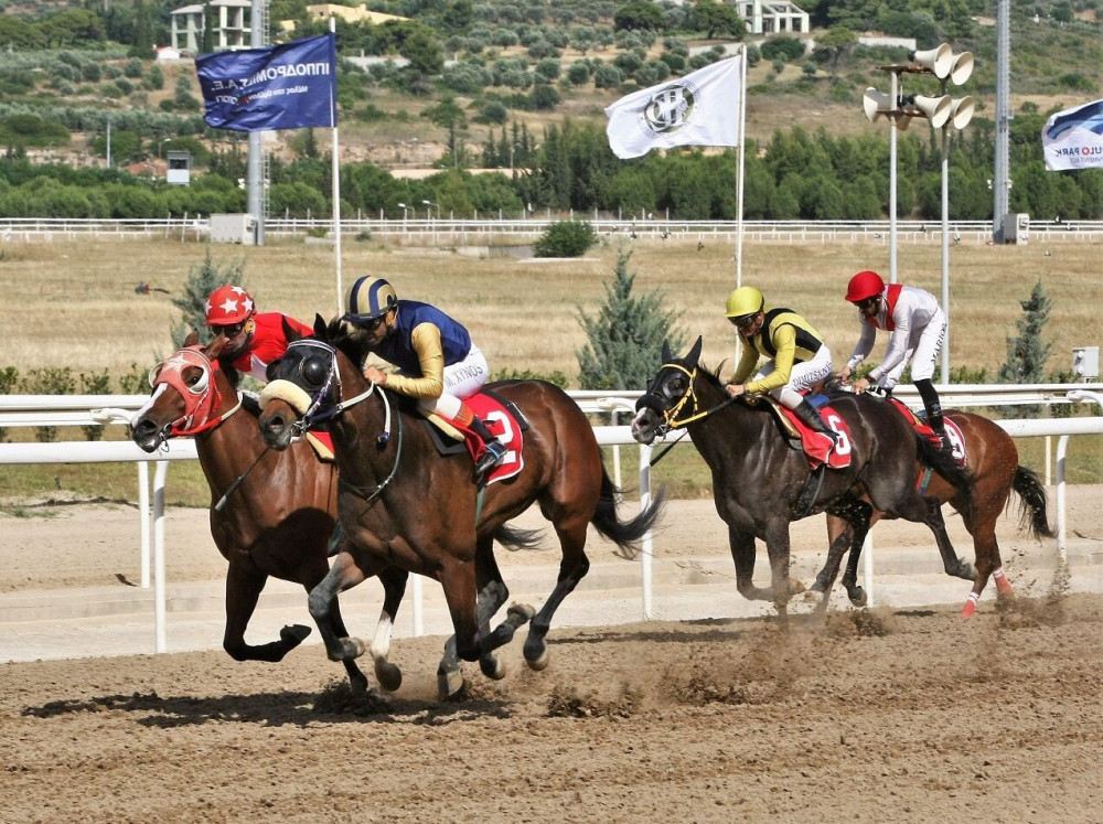 Markopoulo Park: Δέκα καθαρόαιμοι ίπποι διεκδικούν το Κύπελλο Ηνιόχου