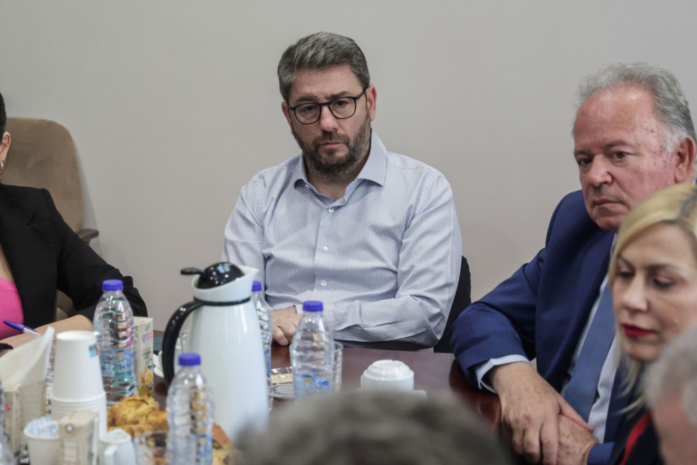 Ποιο ΠΑΣΟΚ; Ο Ανδρουλάκης το μετέτρεψε σε… ΣΥΡΙΖΑ