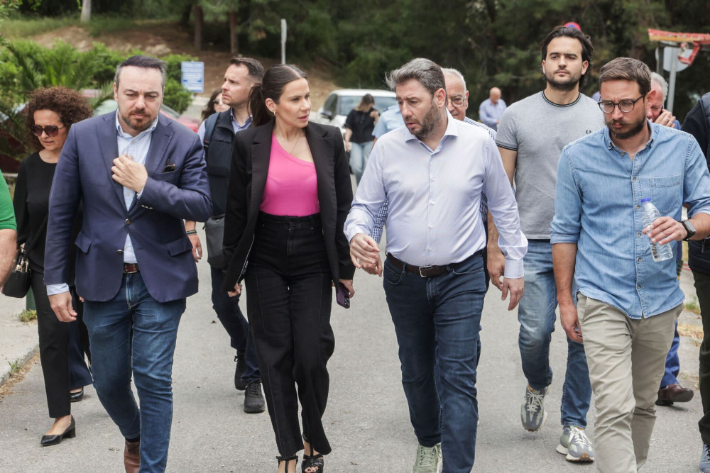 Οι πράσινοι κομματάρχες της Κρήτης εκθέτουν τον Ανδρουλάκη
