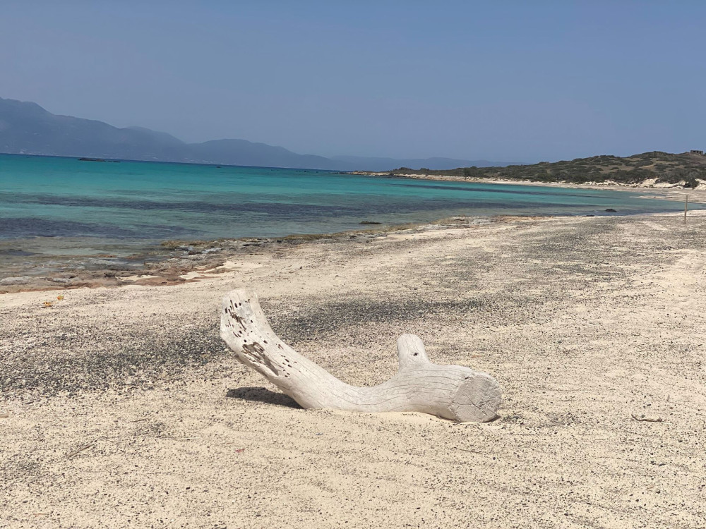 Πώς το νησί Χρυσή στην Κρήτη έγινε ιδιόκτητο επιδοτούμενο βοσκοτόπι, μέσω ΟΠΕΚΕΠΕ