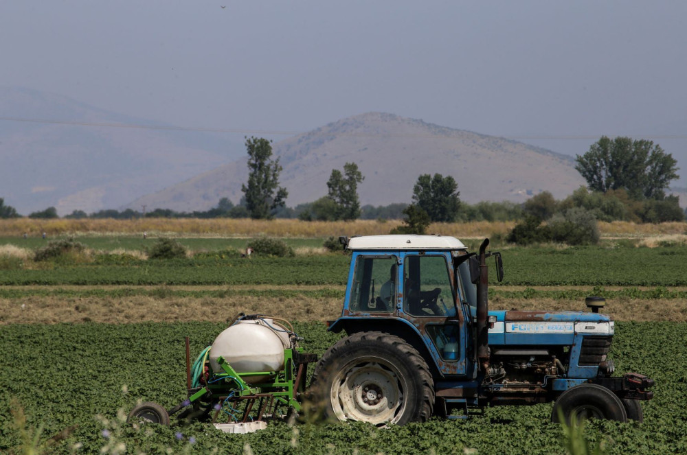 Σεμερτζίδου: Απολύτως ψευδείς πληροφορίες - Δεν εμπλεκόμαστε σε καμία από τις υποθέσεις