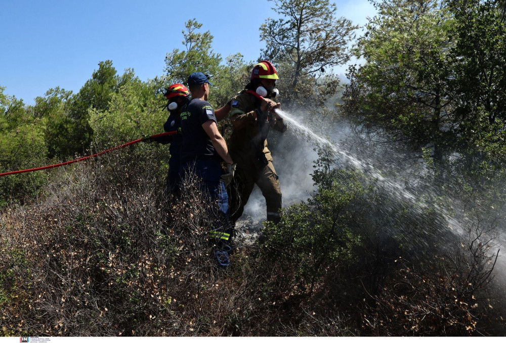 Συνελήφθησαν δύο άνδρες για την πυρκαγιά στο Καραβοστάσι Λακωνίας