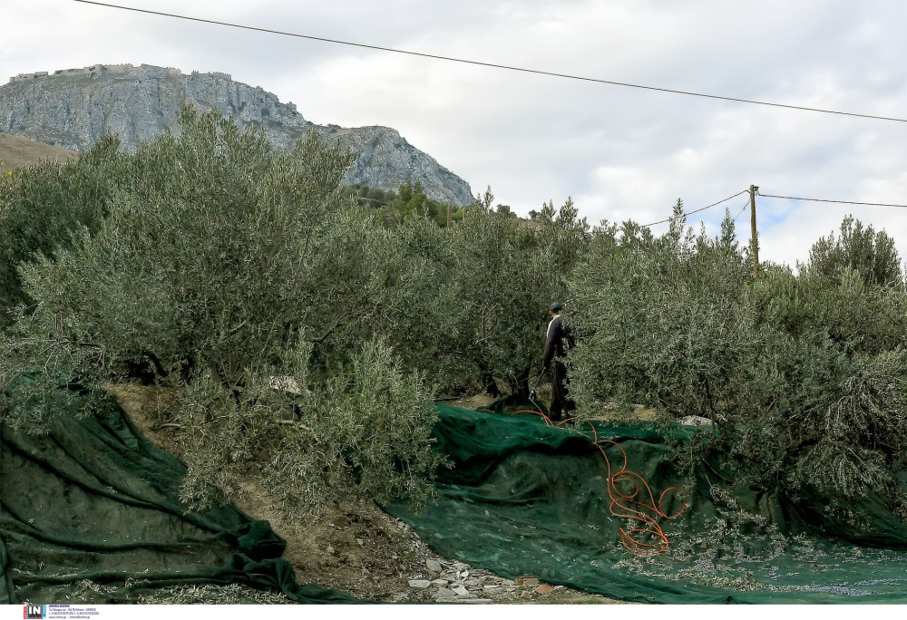Έμβλημα η… κουτάλα με φτερά