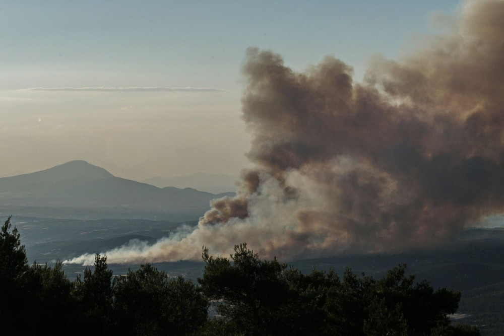Σε ύφεση η φωτιά στον Ωρωπό - Επιχειρούν τα εναέρια μέσα