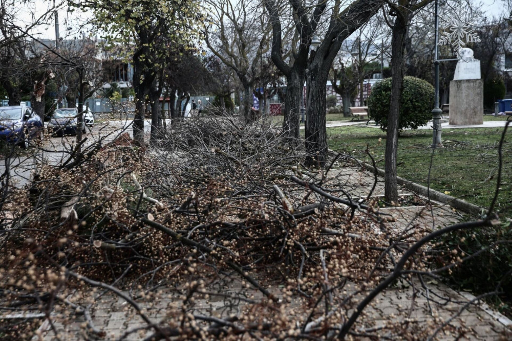 Θεσσαλονίκη: κόπηκε το ρεύμα στη Χαριλάου από πτώση κλαδιού σε καλώδιο ΔΕΗ - Τρεις τραυματίες