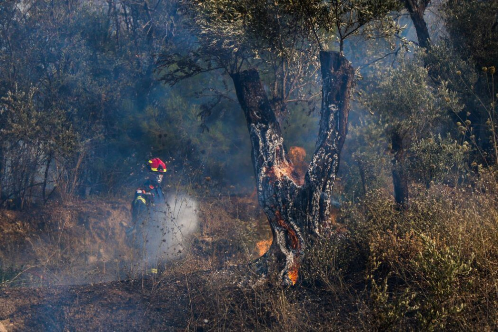 Υπό μερικό έλεγχο η φωτιά στον Αρχάγγελο Λακωνίας