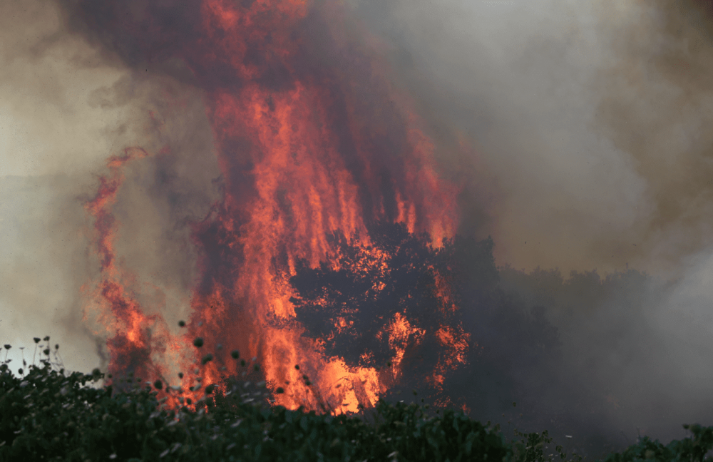 Ανεξέλεγκτη η φωτιά στη Δεσκάτη Γρεβενών - Εκκενώθηκε καταφύγιο με 55 παιδιά
