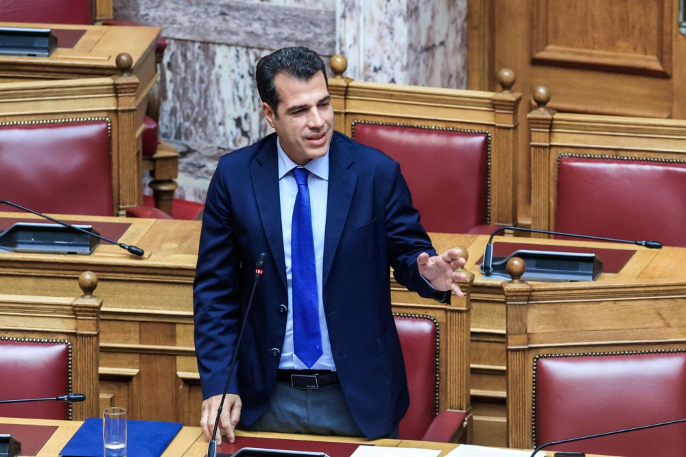 Θάνος Πλεύρης για μεταναστευτικό: Αν ακολουθούσαμε όσα υποστηρίζει το ΠΑΣΟΚ, θα είχαμε 7.000 αφίξεις την ημέρα