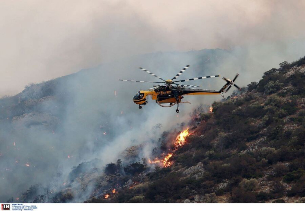 Φωτιά σε περιοχή της Ηλείας - Ισχυρές δυνάμεις της Πυροσβεστικής στο σημείο