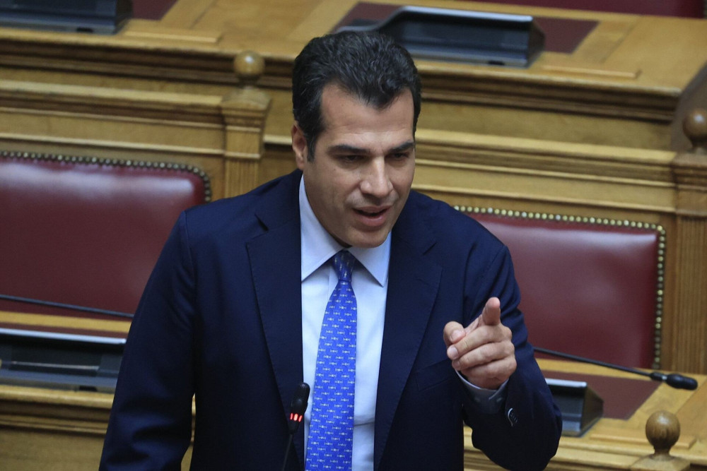 Πλεύρης: Μείωση 50% στις αφίξεις αλλοδαπών - Δεν λύνουμε το Δημογραφικό με το Μεταναστευτικό