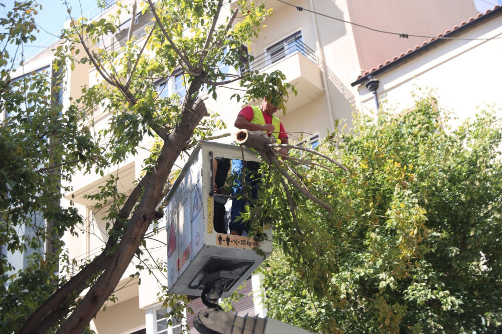Ξύλο εν ώρα εργασίας στη Θεσσαλονίκη - δημοτικός υπάλληλος θύμα επίθεσης