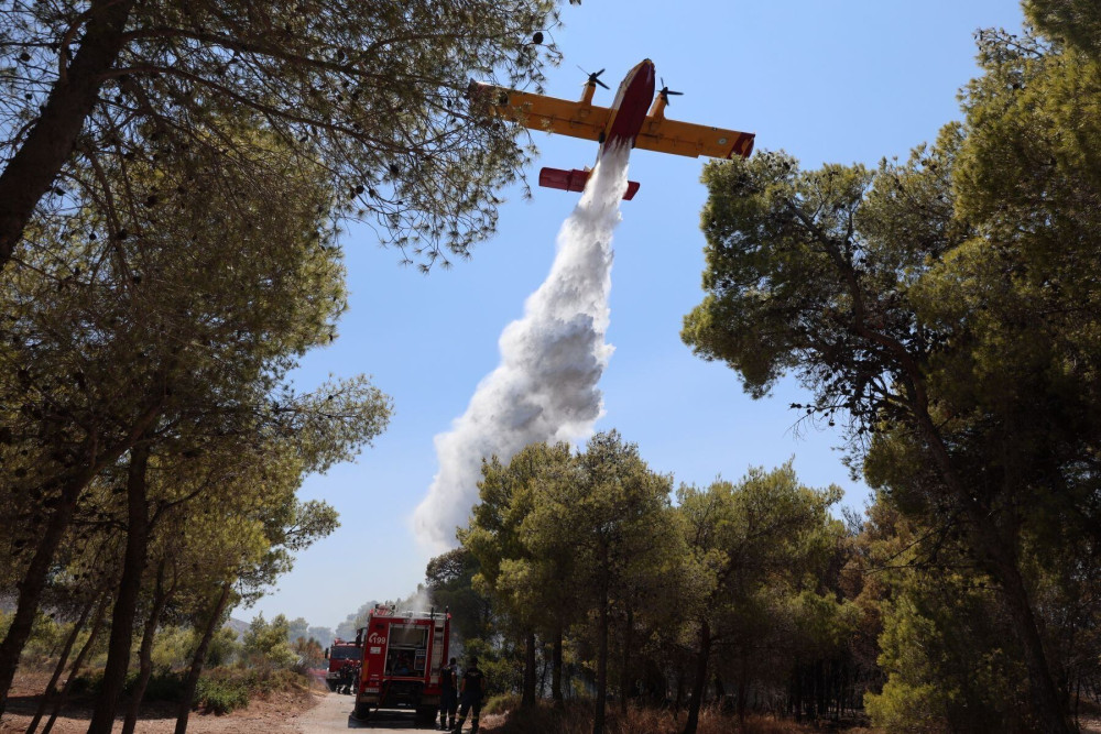 Φωτιά τώρα στη Σαλαμίνα: 92 πυροσβέστες στη μάχη της κατάσβεσης - Σηκώθηκαν επτά εναέρια μέσα