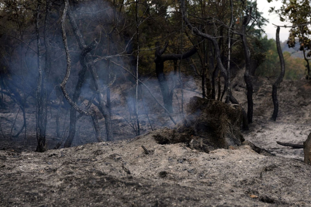 Συνελήφθη 67χρονος για εμπρησμό στο Μαρκόπουλο