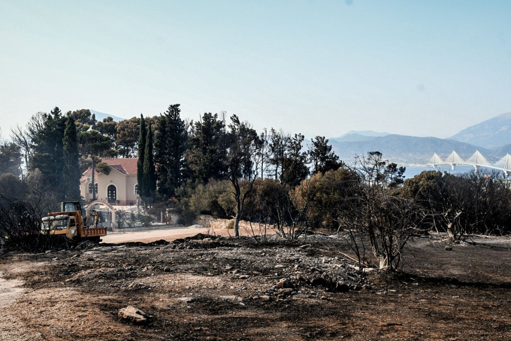 Φωτιά στην Πάτρα: 19χρονος ομολόγησε τον εμπρησμό στα Συχαινά - Συνελήφθη μαζί με 27χρονο
