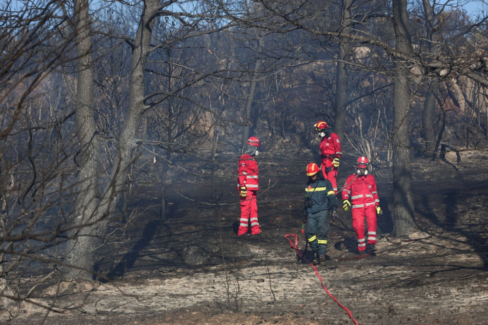 «Ευχαριστώ» Μητσοτάκη για την επιβράβευση των Ελλήνων πυροσβεστών από την Ούρσουλα φον ντερ Λάιεν