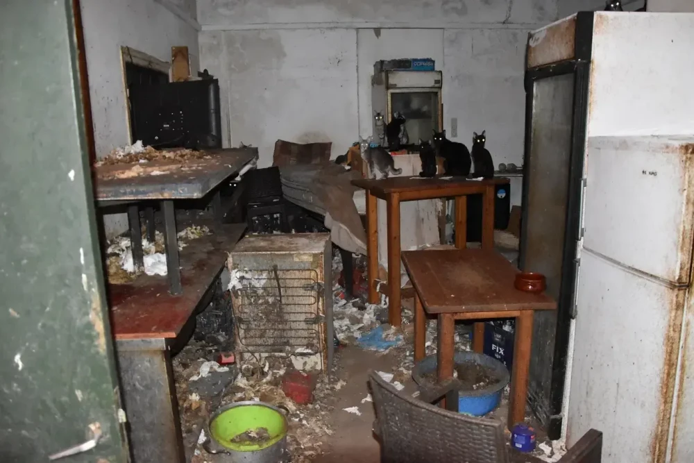 Δονούσα: πρόστιμο 1,7 εκατ. ευρώ σε 63χρονο για κακοποίηση 58 γατών - Ζούσαν σε άθλιες συνθήκες (photos)