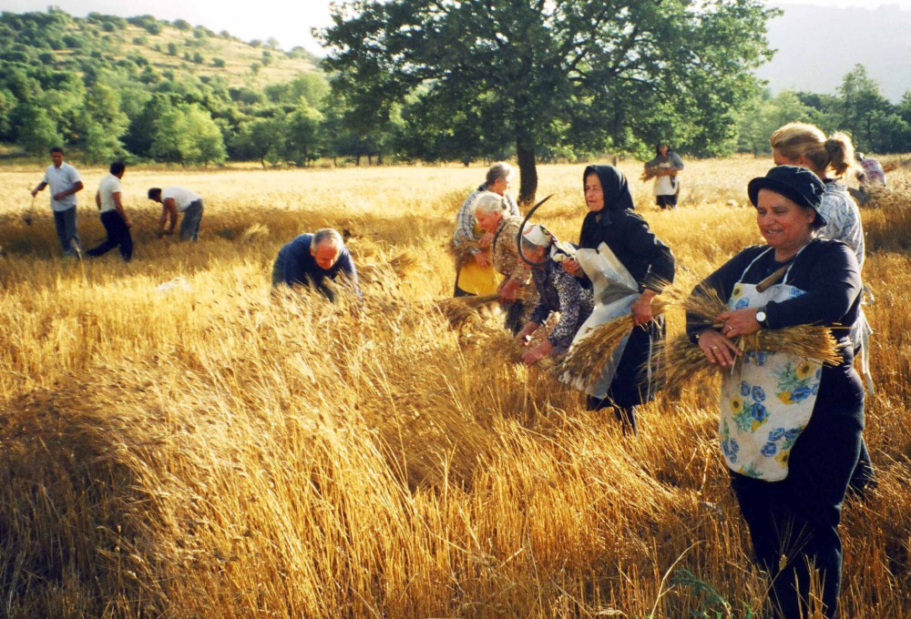 ΕΛΓΑ: παράταση εισφοράς και επιτάχυνση των αποζημιώσεων με τροπολογία του ΥΠΑΑΤ