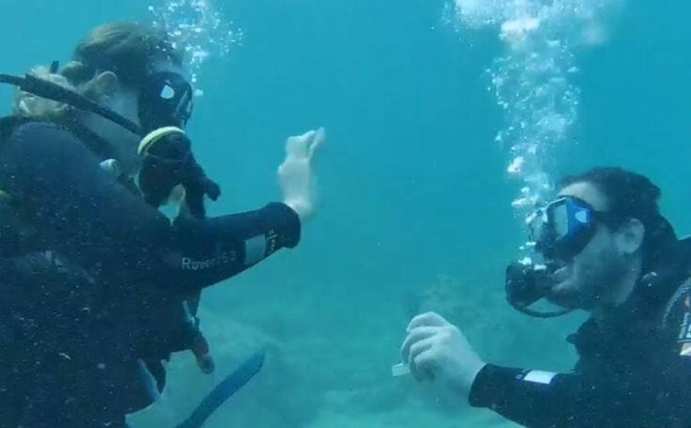 Υποβρύχια… πρόταση γάμου στην Αλόννησο (vid)