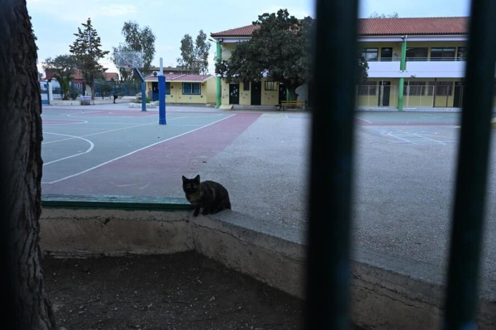 Σοκ σε Γυμνάσιο των Σερρών: διευθύντρια κατηγορείται ότι φίμωσε 13χρονο μαθητή - Οδηγείται στον εισαγγελέα