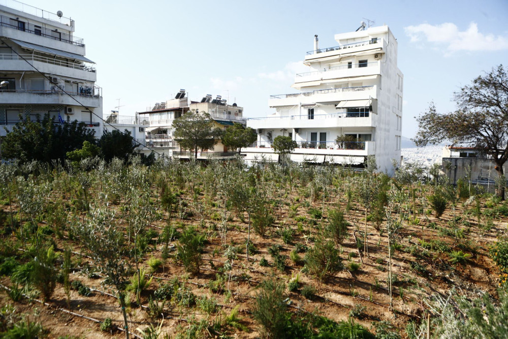 ΥΠΕΝ: νέοι κανόνες χρήσεων σε προστατευόμενες περιοχές δικτύου «Natura 2000»