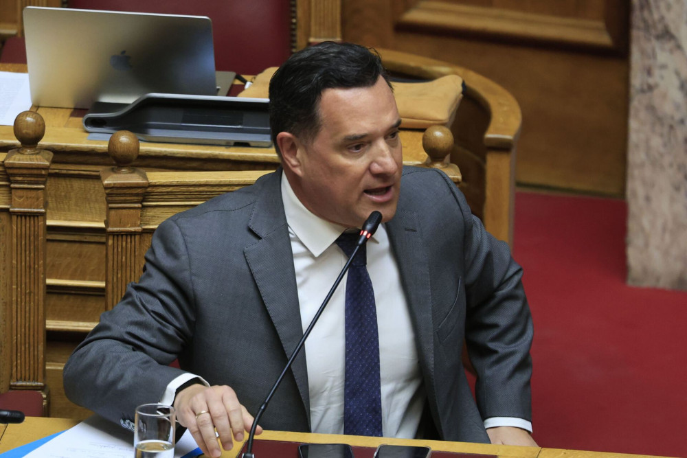Στον Άδωνι Γεωργιάδη το χαρτοφυλάκιο της Ψυχικής Υγείας (video)