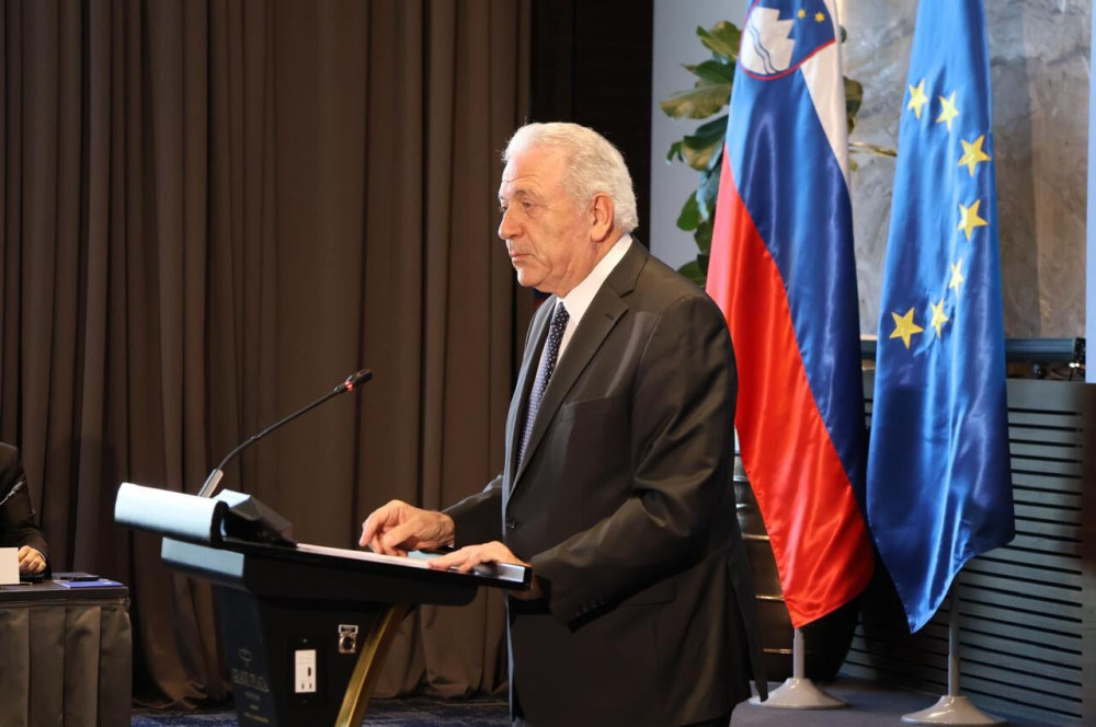 Ο Δημήτρης Αβραμόπουλος συμμετείχε σε Διάσκεψη στη Λιουμπλιάνα της Σλοβενίας (photos)