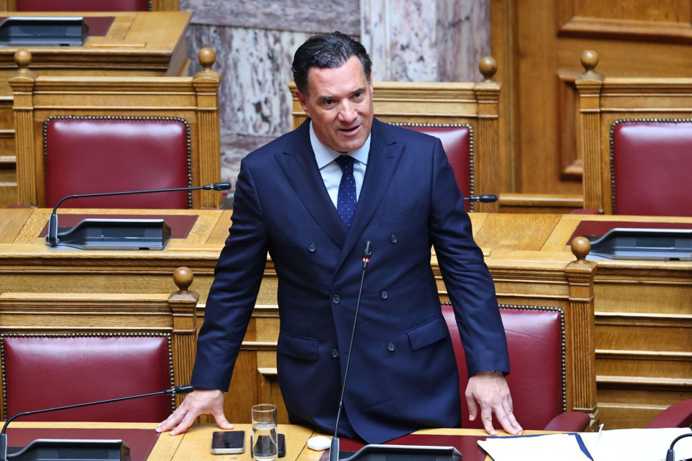 Άδωνις Γεωργιάδης: Η Θεοδώρα Τζάκρη τα έχει βρει με το ΠΑΣΟΚ - Θέλει να βγαίνει πάντα βουλευτής