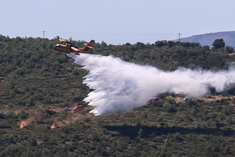 Στο 85% οι πυρκαγιές από αμέλεια, σήμα κινδύνου από την Πυροσβεστική (video)