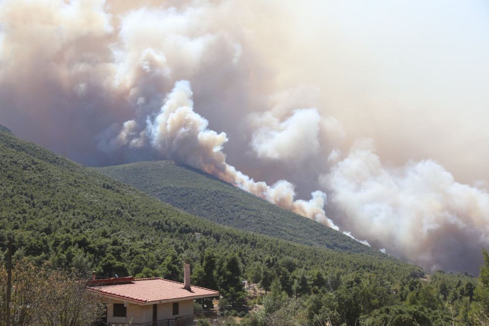 ΠΟΓΕΔΥ: «Τα παπαγαλάκια έπιασαν και πάλι δουλειά»