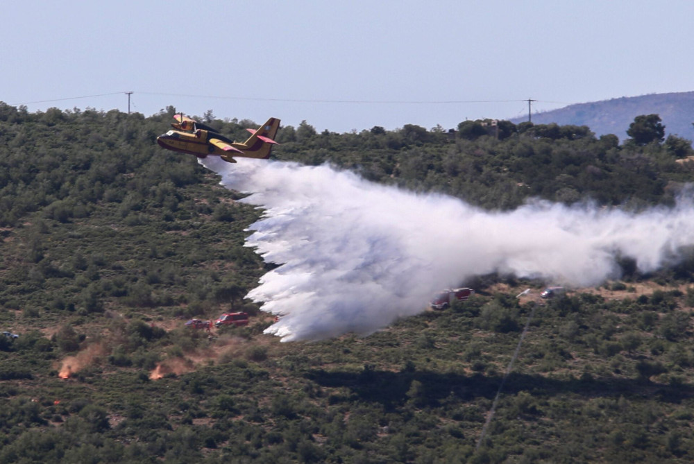 Χωρίς ενεργό μέτωπο η φωτιά στη Μακύνεια Ναυπακτίας - Εκκενώθηκε η περιοχή