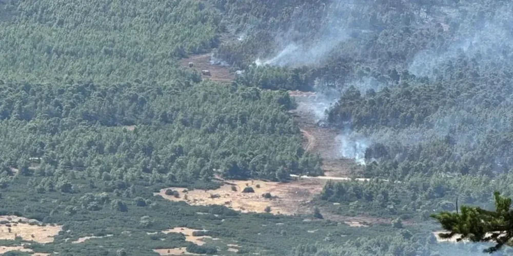 Φωτιά στη Δυτική Αττική: Το antinero έσωσε ζωτικά κομμάτια του δάσους (εικόνες)
