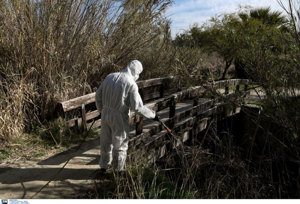 «Καμπανάκι» για την έξαρση του ιού του Δυτικού Νείλου στην Αττική