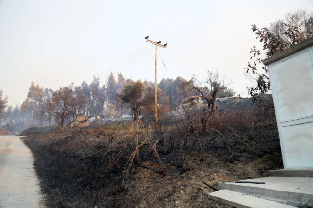 Απ' αυτό το σημείο ξεκίνησε η φωτιά στη Σίβηρη Χαλκιδικής - Εικόνα-ντοκουμέντο