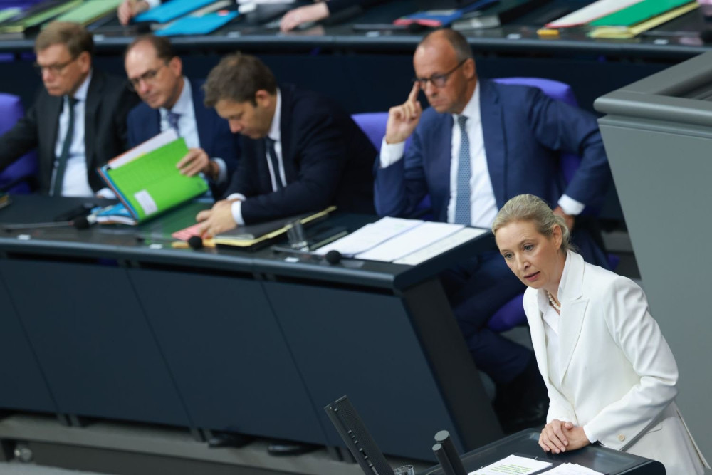 AfD: από το περιθώριο στην πολιτική εδραίωση