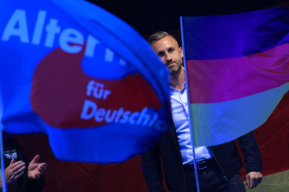 AfD: οι ευθύνες των συστημικών πολιτικών