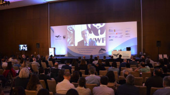 WWF Ελλάς: Συνδιάσκεψη για την προστασία των θαλάσσιων θηλαστικών