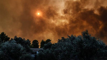 Φωτιά στην Εύβοια: Όλα τα στοιχεία δείχνουν εμπρησμό