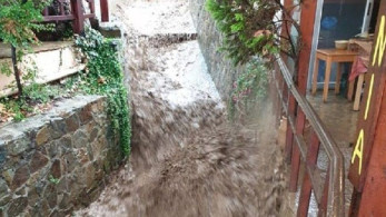 Κακοκαιρία: Ξεριζώθηκαν δέντρα, έκλεισαν δρόμοι – Προβλήματα στις ακτοπλοϊκές γραμμές